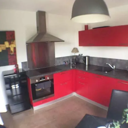 公寓 Le Topaze 科尔马